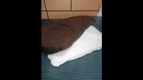 fairouz @ stripchat on 20241031
