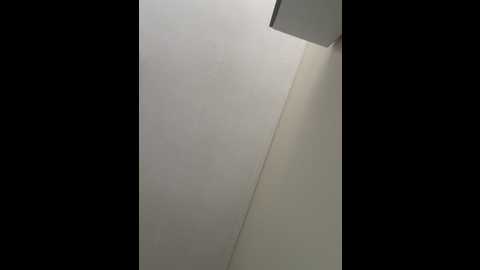 inesxv @ stripchat on 20241031