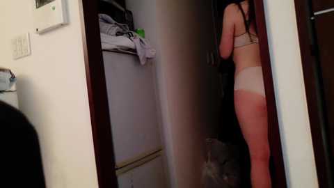 pocari_sweat @ stripchat on 20241031