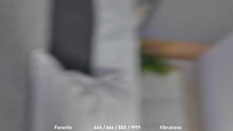 celestara @ stripchat on 20241101