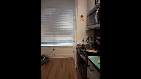 hollytattoo @ stripchat on 20241101