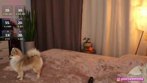 lindawarners @ stripchat on 20241101