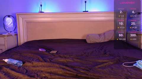 medeaflower @ stripchat on 20241101