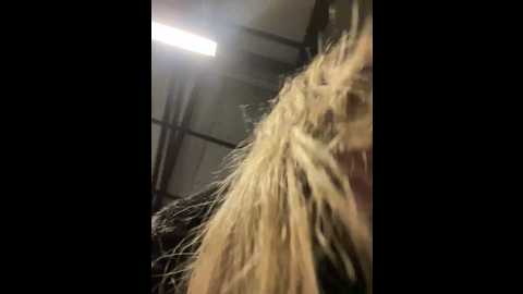 miia_lynn @ stripchat on 20241101