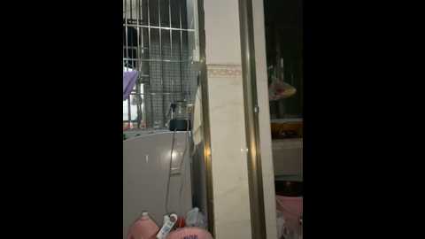 ok_lala @ stripchat on 20241101