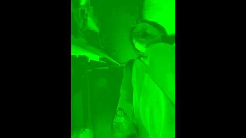 angelinateller @ stripchat on 20241102