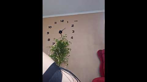 kalli_fornia @ stripchat on 20241102