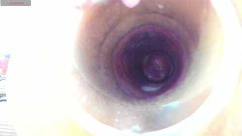 nikkahotx @ stripchat on 20241102