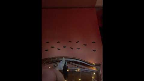 pawsitive_panther @ stripchat on 20241102
