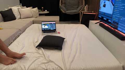cemcero @ stripchat on 20241103