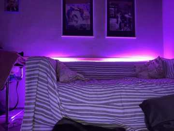 laylaastar @ stripchat on 20241103