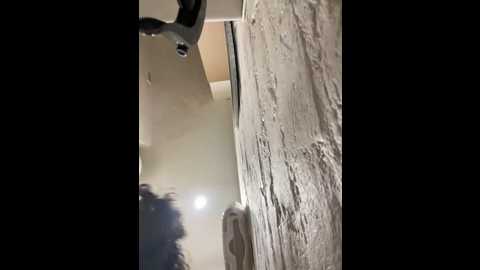 lina_twin @ stripchat on 20241103