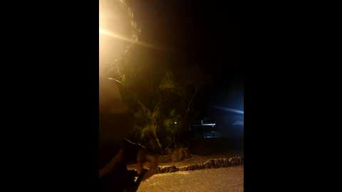 _medusa_c @ stripchat on 20241104