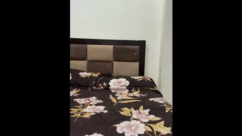 aashi66 @ stripchat on 20241104