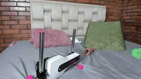 angelicasteven_ @ stripchat on 20241104