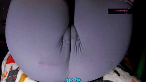 cameltoe_squirt_inpants @ stripchat on 20241104