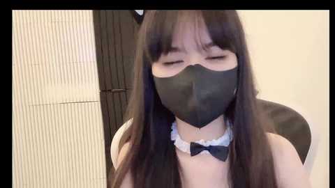 cat_baby69 @ stripchat on 20241104