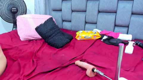 couple_gold69 @ stripchat on 20241104