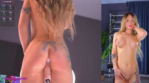 littlemix_ @ stripchat on 20241104