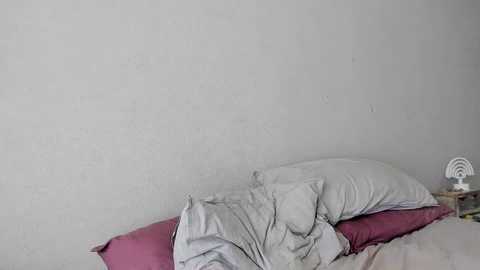 playfulrachel @ stripchat on 20241104