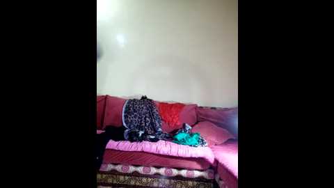 sosoarabe123 @ stripchat on 20241104