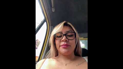 dianita_1988 @ stripchat on 20241105