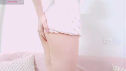embex_damdang