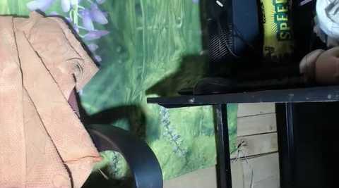 ggeraldyn_33 @ stripchat on 20241105