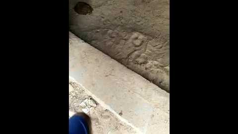 indiankanak @ stripchat on 20241105