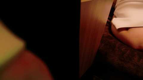 jp_mint_oo_investigation_ @ stripchat on 20241105