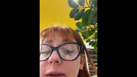 lexy__foxy @ stripchat on 20241105