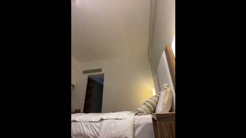 luisabecker @ stripchat on 20241105