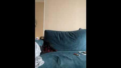 only_eva @ stripchat on 20241105