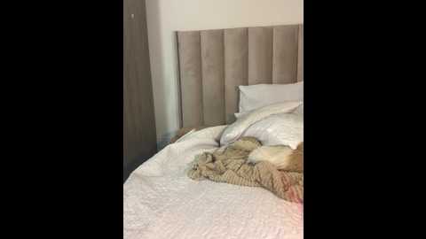 sexydee025 @ stripchat on 20241105
