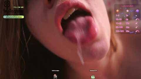 somejgirl @ stripchat on 20241105