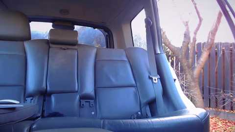 yourguiltypassionn @ stripchat on 20241105