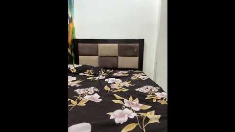 aashi66 @ stripchat on 20241106