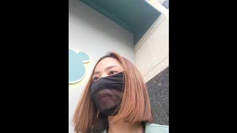 aster_hoa