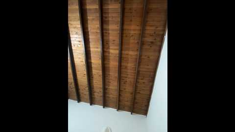 emiss_ @ stripchat on 20241106