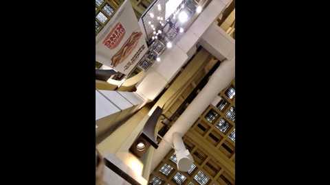 public_katrisha @ stripchat on 20241106