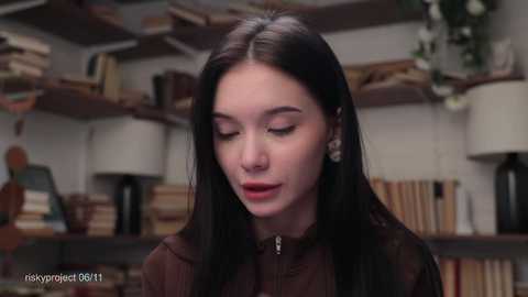 riskyproject @ stripchat on 20241106