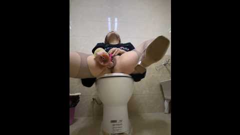 tingting66 @ stripchat on 20241106