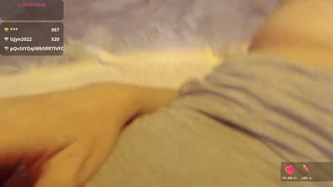 vyizh_ @ stripchat on 20241106