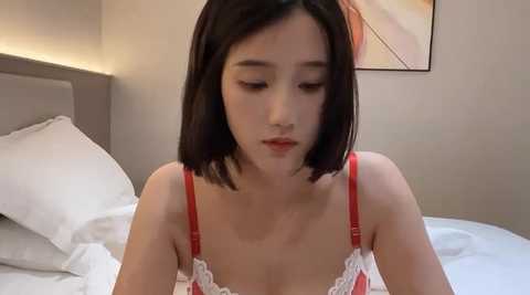 arrebo1 @ stripchat on 20241107