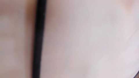 bdbdzs @ stripchat on 20241107