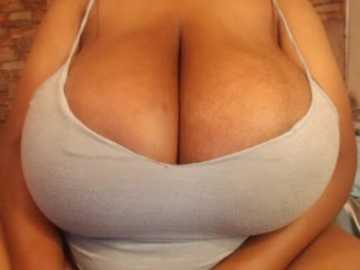 bigasstitt @ stripchat on 20241107
