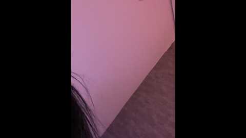clarachanelricek @ stripchat on 20241107