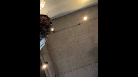 eira2004 @ stripchat on 20241107