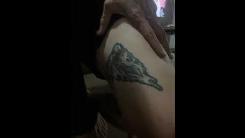 gipoltergeist @ stripchat on 20241107