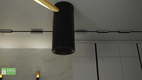 hecola @ stripchat on 20241107